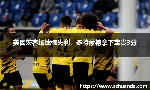 美因茨客场遗憾失利，多特蒙德拿下宝贵3分