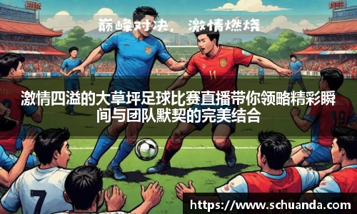 激情四溢的大草坪足球比赛直播带你领略精彩瞬间与团队默契的完美结合