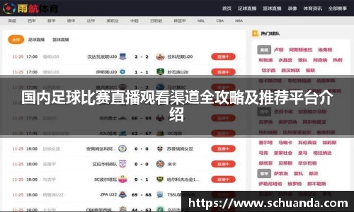 国内足球比赛直播观看渠道全攻略及推荐平台介绍